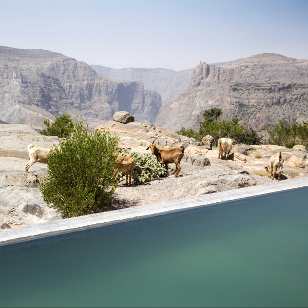 APRE ANANTARA AL JABAL AL AKHDAR RESORT ALLA SCOPERTA DELLE NUOVE VETTE DEL LUSSO