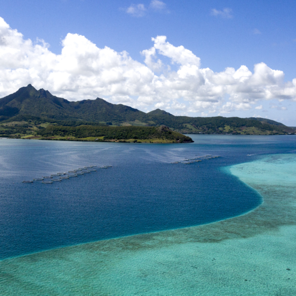 2017 da record per Mauritius