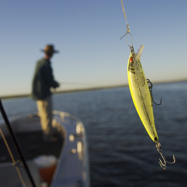 Catch the million dollar fish in Australia