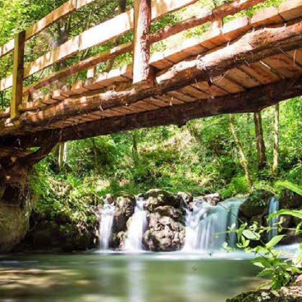 L’ESTATE È SEMPRE PIU’ VERDE NELLE VALLI RESILIENTI