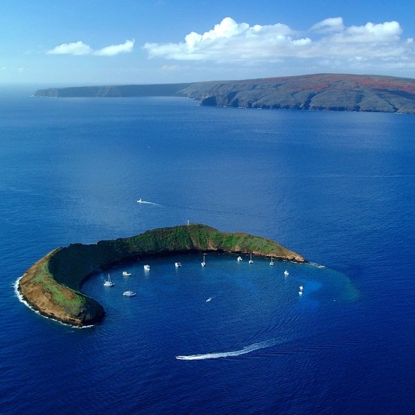 ALLE HAWAI‘I ESPERIENZE MARINE UNICHE