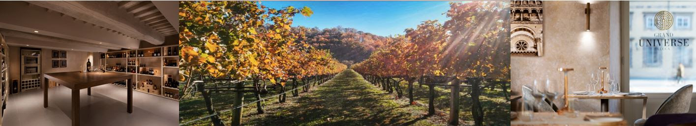 SORPRENDERE TUTTI I SENSI AL GRAND UNIVERSE LUCCA ALLA SCOPERTA DI VINO E OLIO TOSCANO